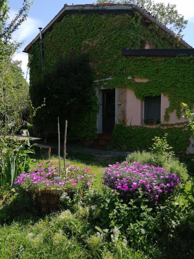הוילה בריזיגלה Agriturismo Il Palazzo מראה חיצוני תמונה